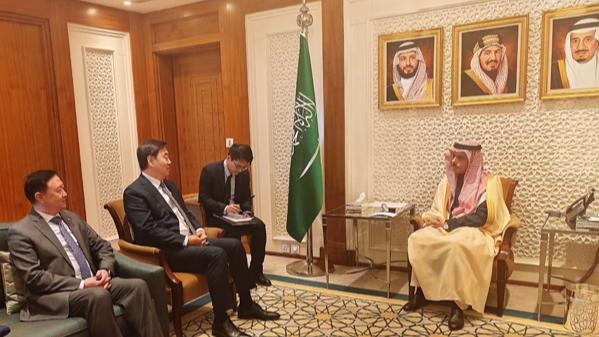 China's Middle East envoy calls for ceasefire as fundamental way out