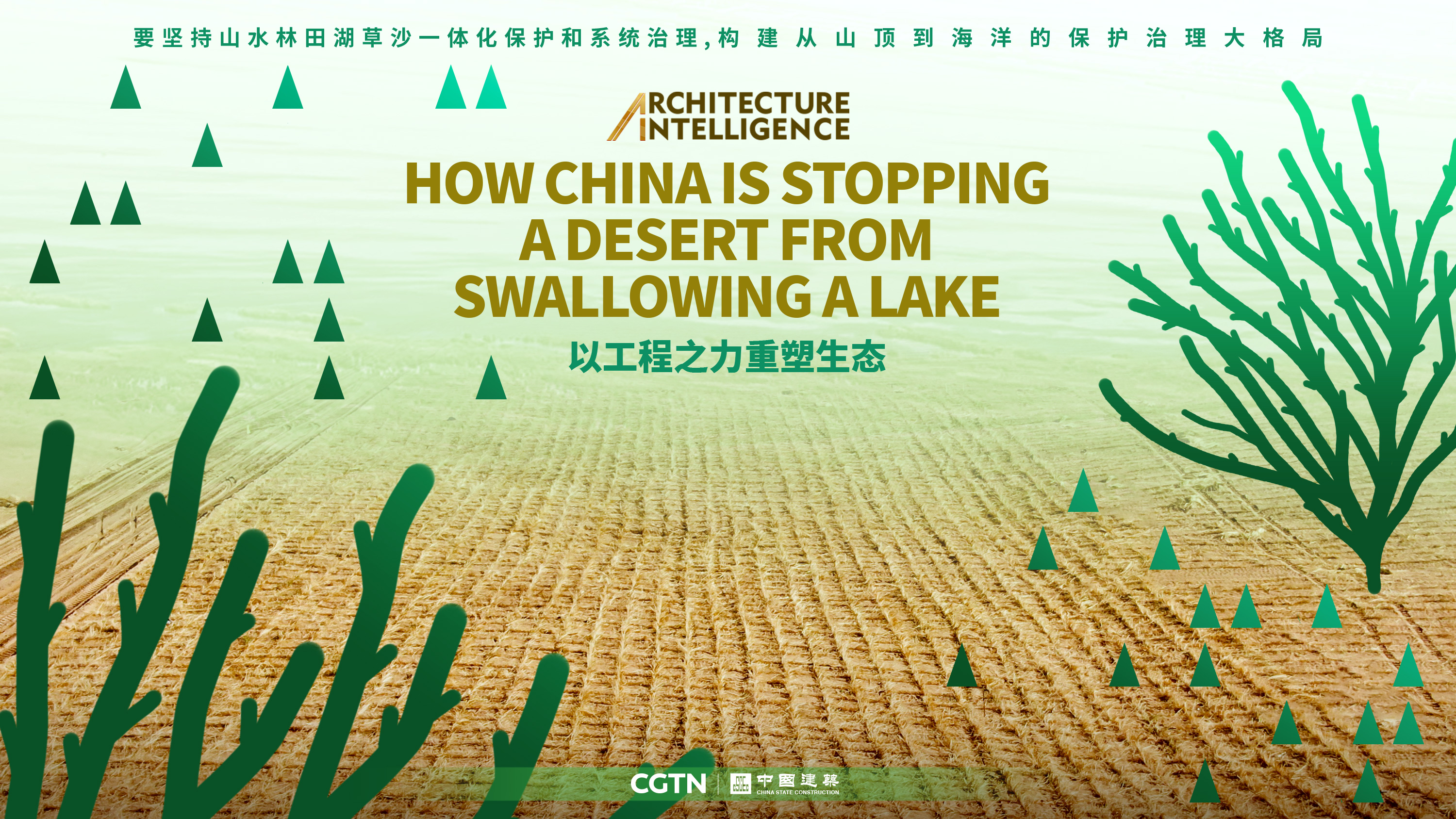 How China is stopping a desert from swallowing a lake
