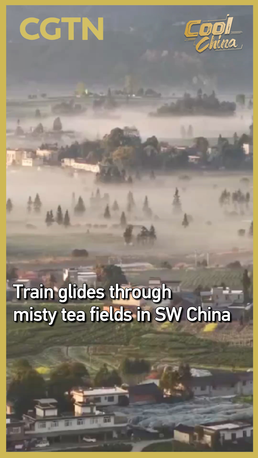 Train glides through misty tea fields in SW China