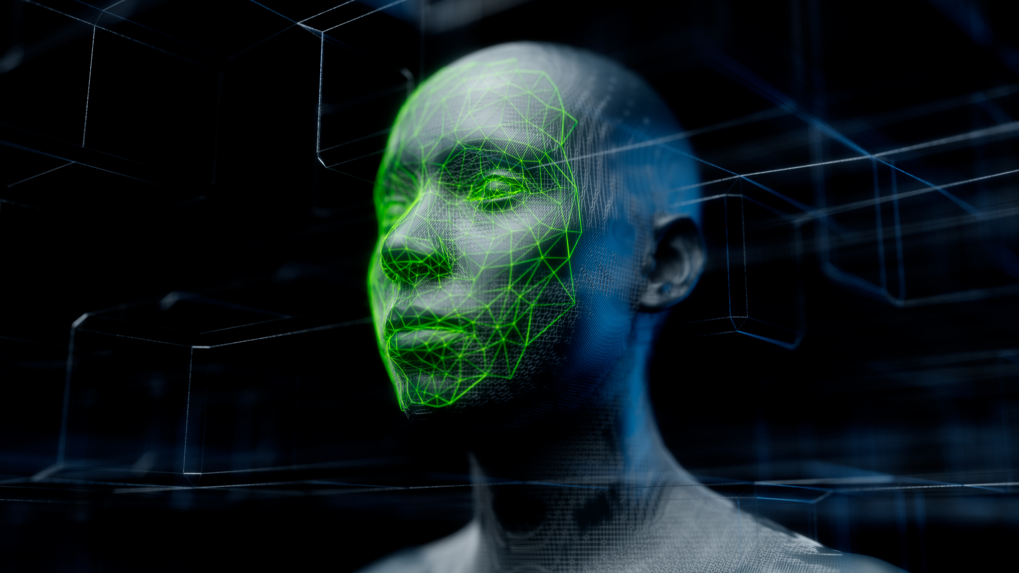 A graphic depiction of 3D facial analysis. /VCG
