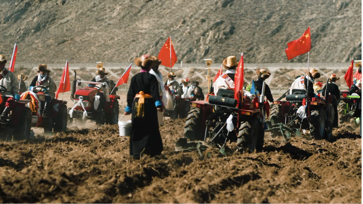 Locals operating agricultural machinery at the 