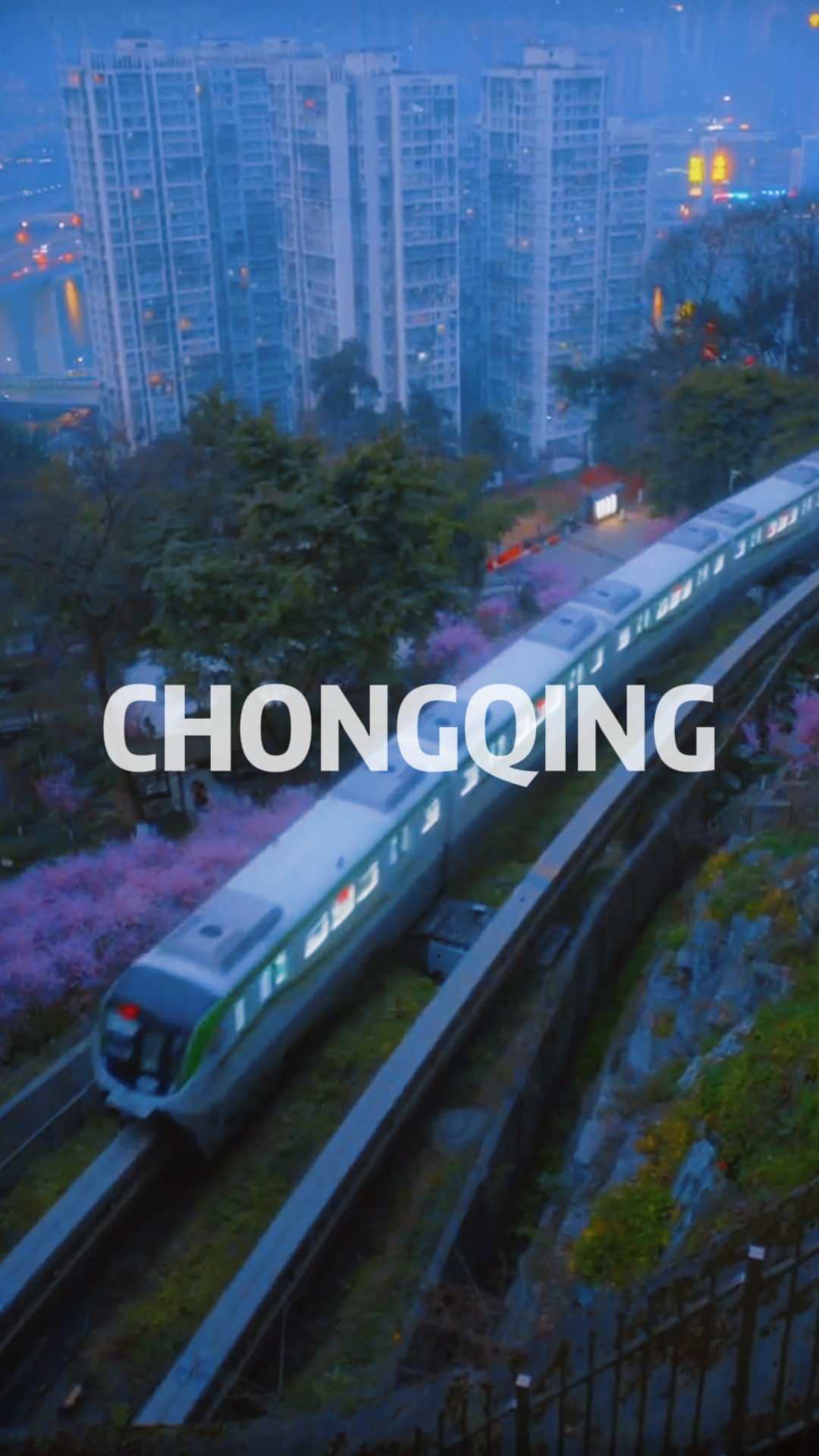 A train journey through a pink sea of flowers in Chongqing