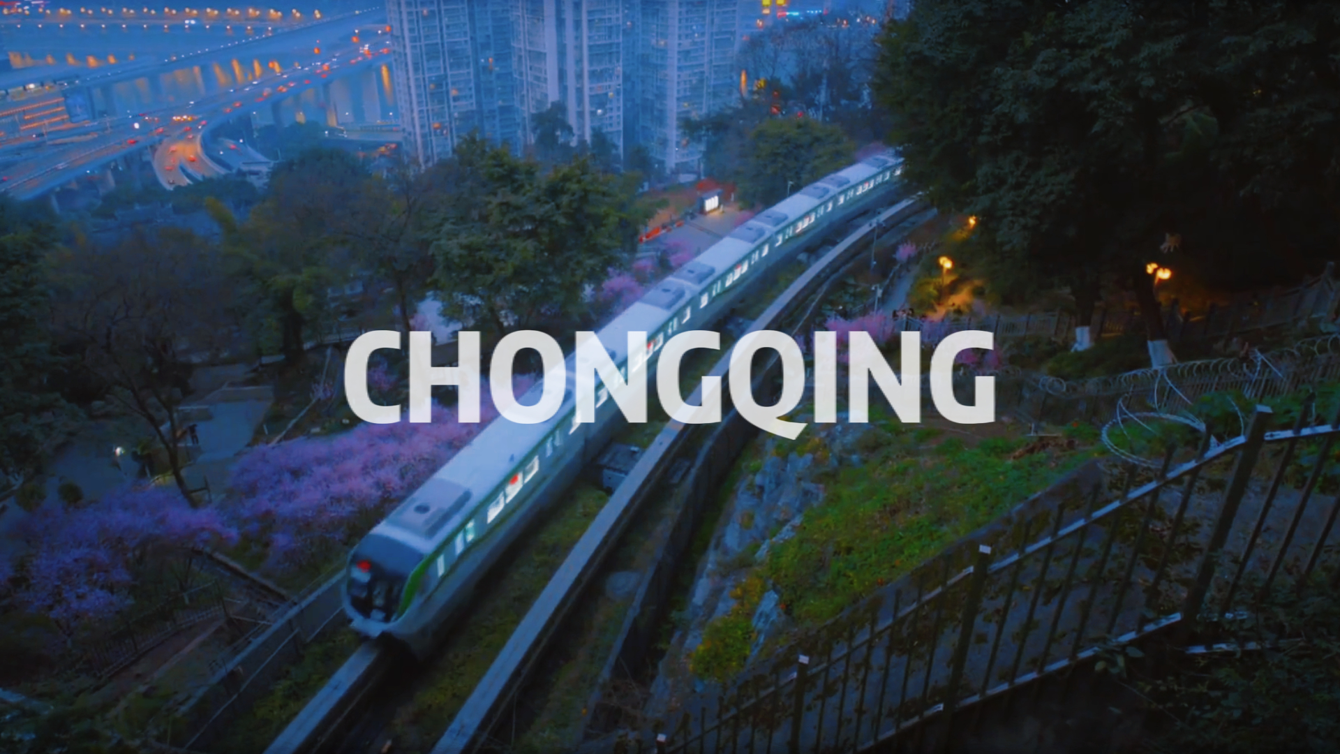 A train journey through a pink sea of flowers in Chongqing