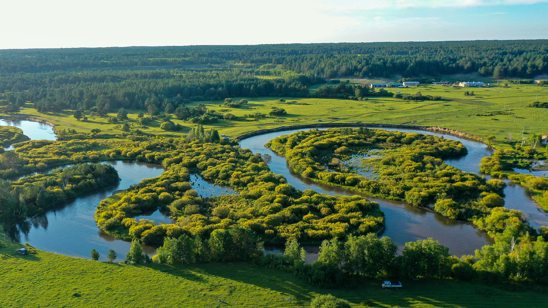 China's forest, grass coverage rate surpasses 56%