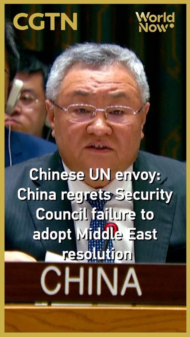Chinese UN envoy: China regrets Security Council failure to adopt Middle East resolution