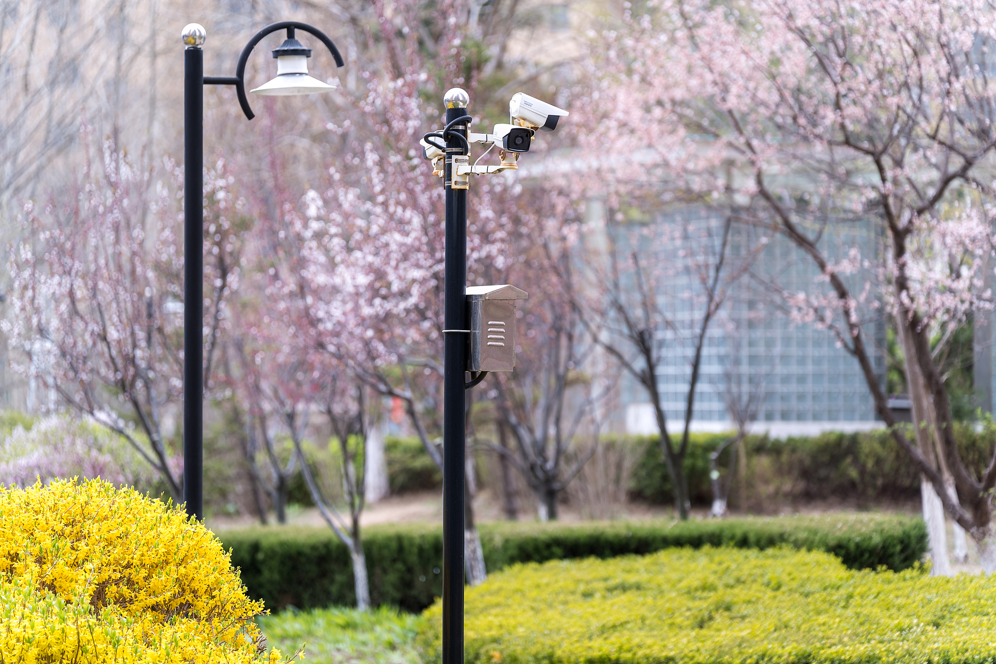 Security cameras along a park path contribute to the sense of safety felt by many runners. /VCG