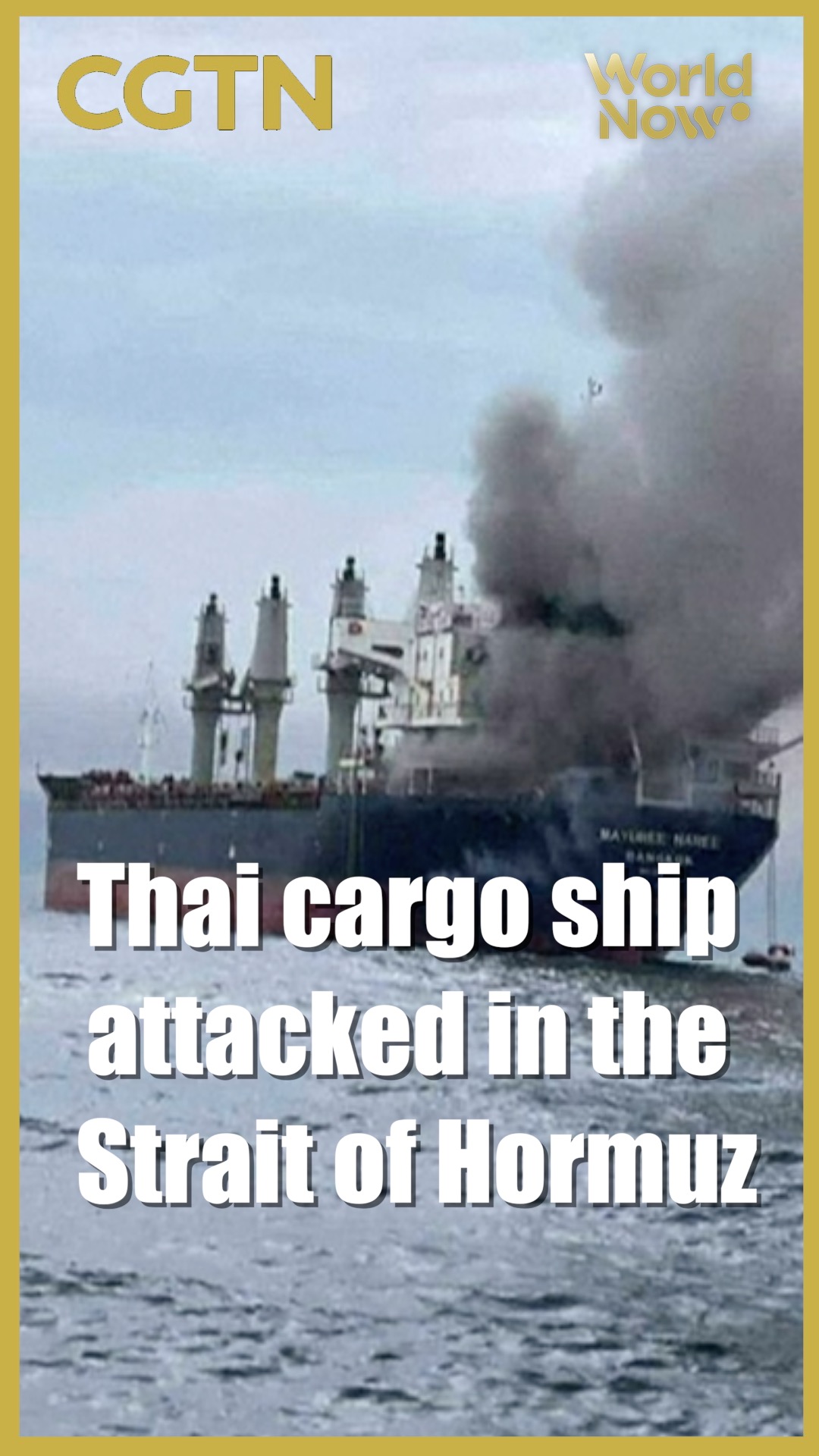 Thai cargo ship attacked in the Strait of Hormuz