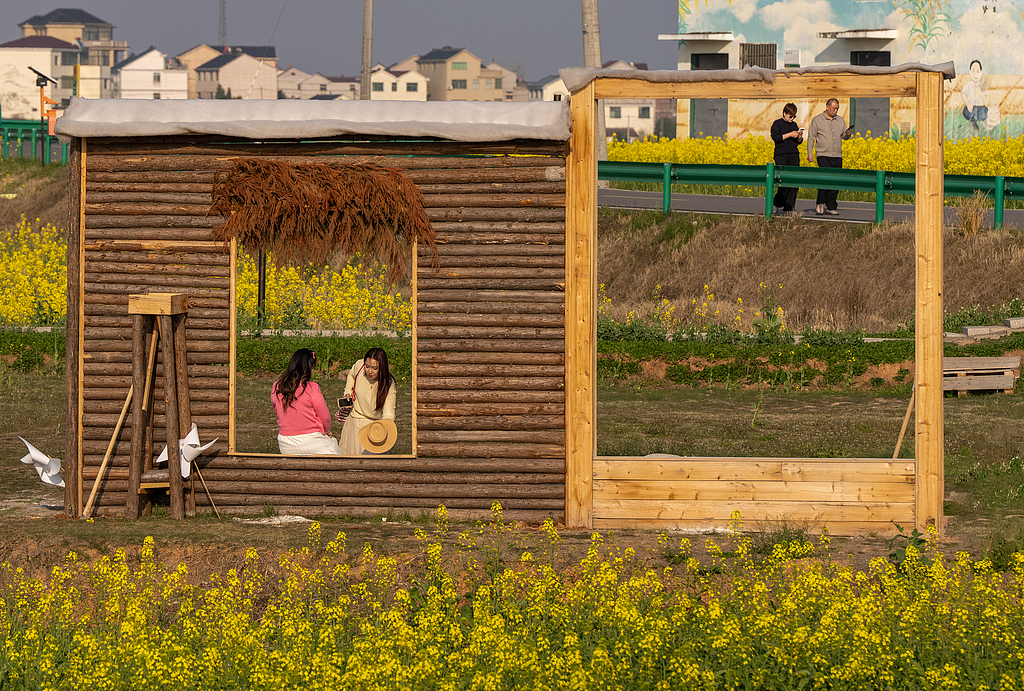 Golden rapeseed flowers blanket the countryside in Jinhua, Zhejiang Province on March 10, 2026. /VCG