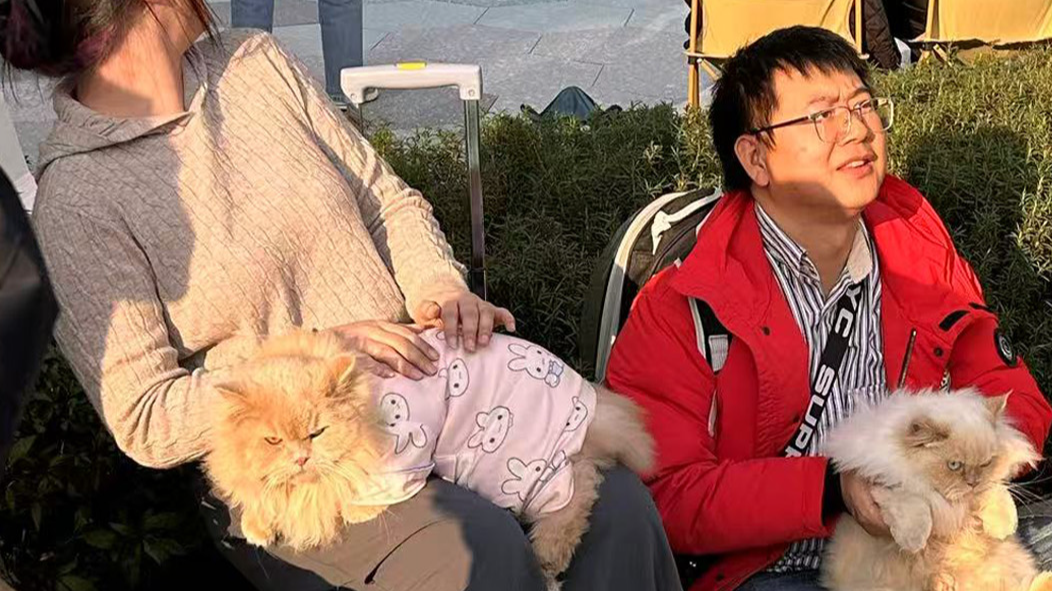 New online show in Chengdu taps into booming pet economy