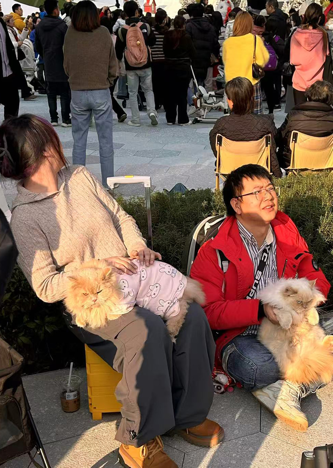 Pet owners chat with each other about pet care in Chengdu, Sichuan Province on December 7, 2025. /CGTN