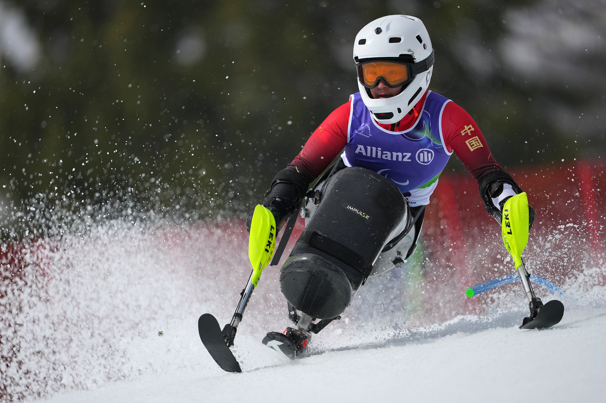 Zhang Wenjing of China, competes in her first run of the alpine skiing women's giant slalom sitting at the 2026 Winter Paralympics, in Cortina d'Ampezzo, Italy, March 14, 2026. /VCG