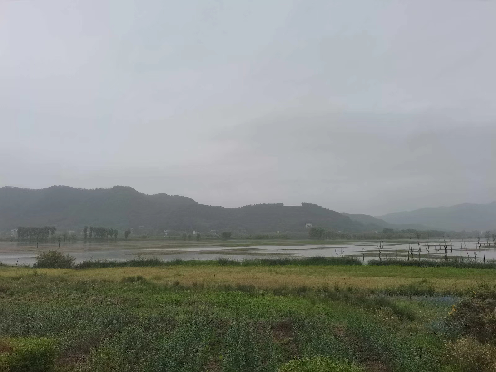 Huize Black-necked Crane National Nature Reserve, Qujing City, Yunnan Province, southwest China. /Xu Jiliang