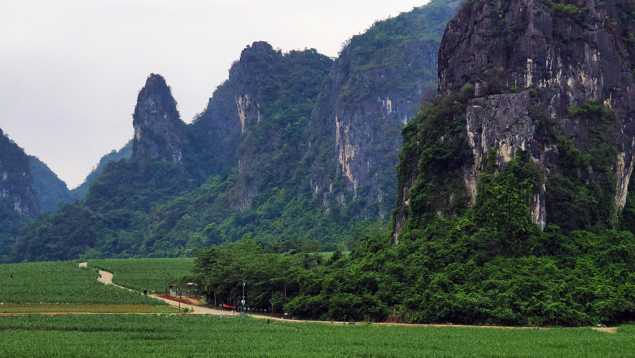 A view of Chongzuo White-Headed Langur National Nature Reserve, the Guangxi Zhuang Autonomous Region, south China, May 26, 2026. /VCG