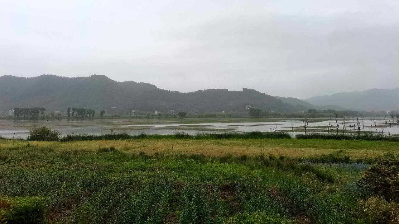 How China's new nature reserve regulations reshape human–nature ties