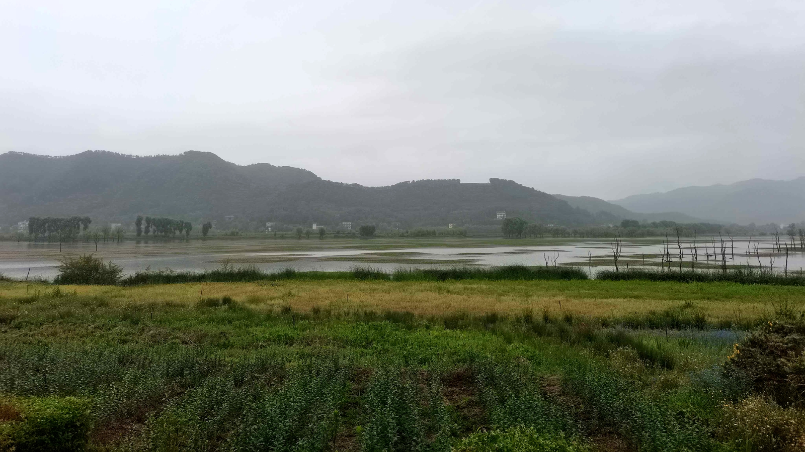 How China's new nature reserve regulations reshape human–nature ties