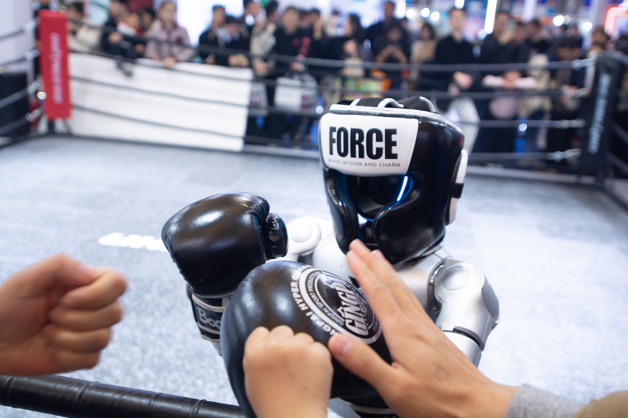 Boxing robots perform a boxing match at the Unitree booth during the second day of the AWE 2026 trade fair at SNIEC in Shanghai, China, March 13, 2026. /VCG 
