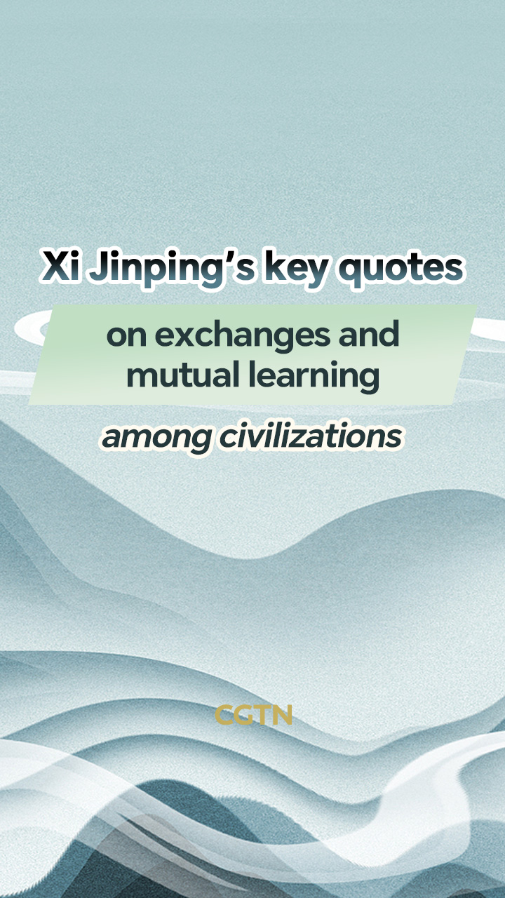 Xi's key quotes on exchanges and mutual learning among civilizations