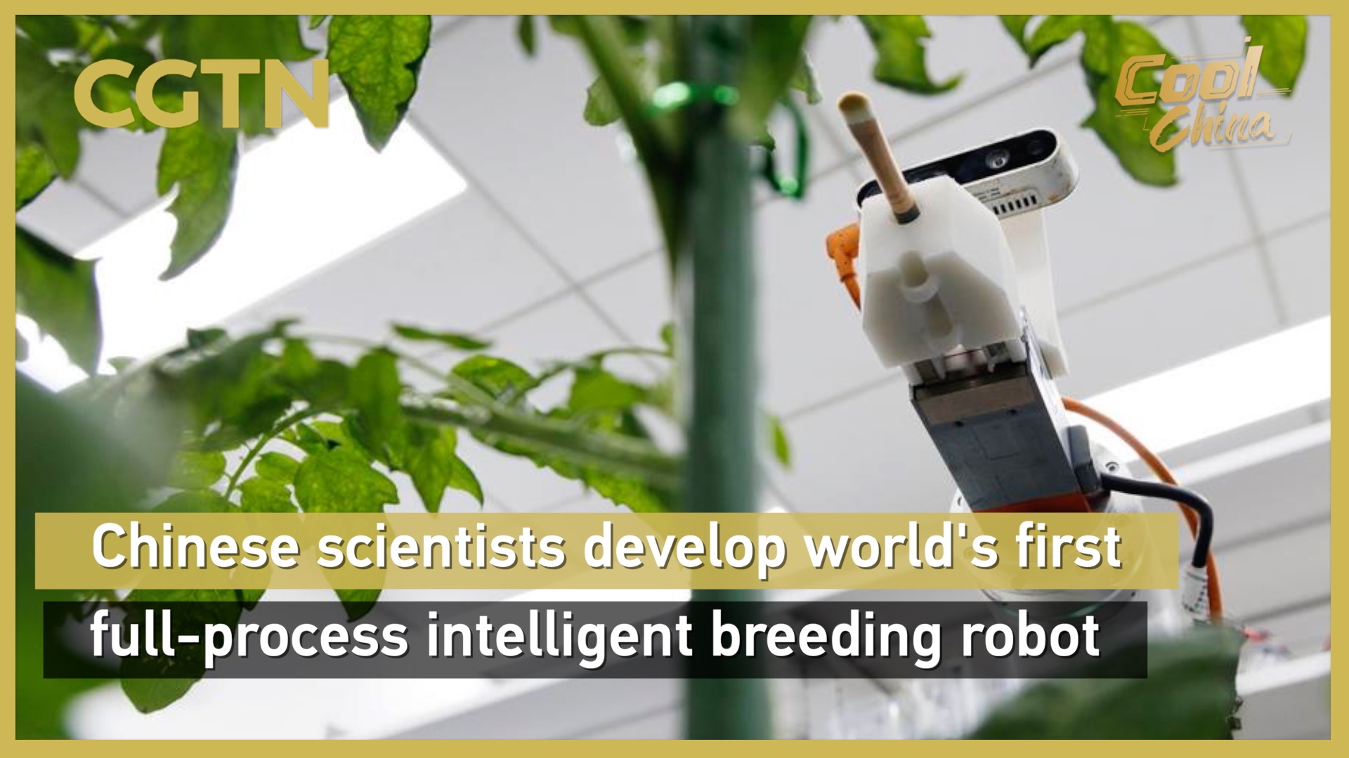 Chinese scientists develop world's first full-process intelligent breeding robot