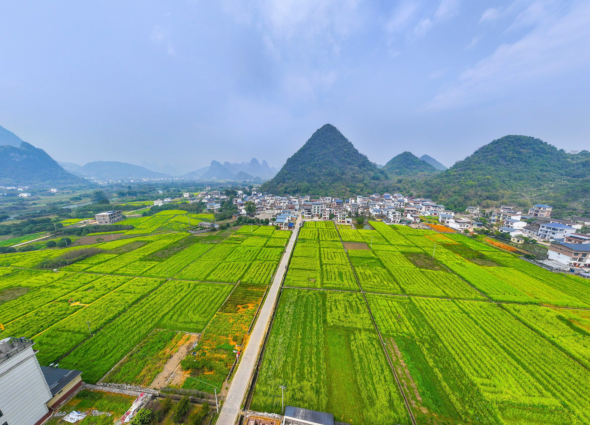 Rapeseed flower fields in Baisha Town, Guangxi Zhuang Autonomous Region, south China, March 16, 2026. /VCG