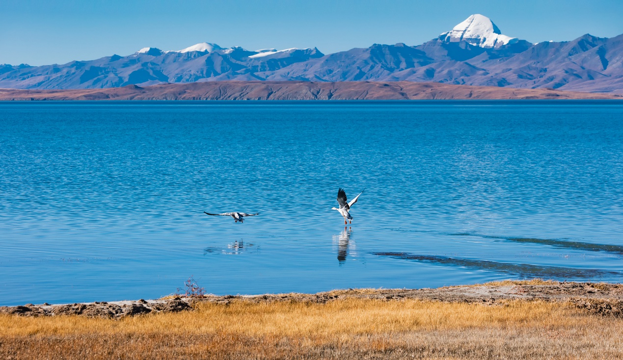A distant view of Mount Kailash from Lake Mapam Yumco, Ngari Prefecture, China's Xizang Autonomous Region. /VCG