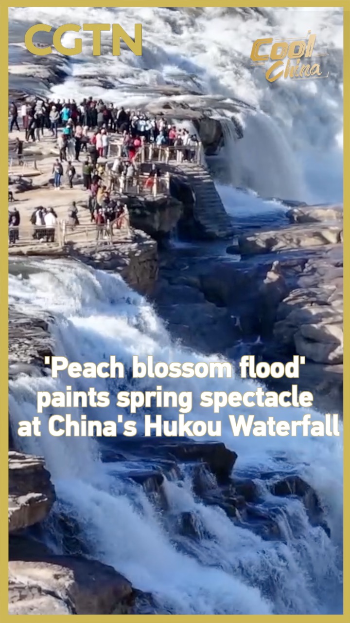 'Peach blossom flood' paints spring spectacle at Hukou Waterfall