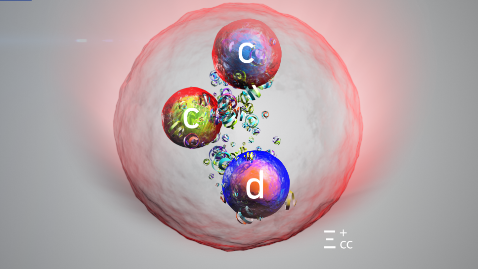 The structure of the newly discovered particle. /CMG