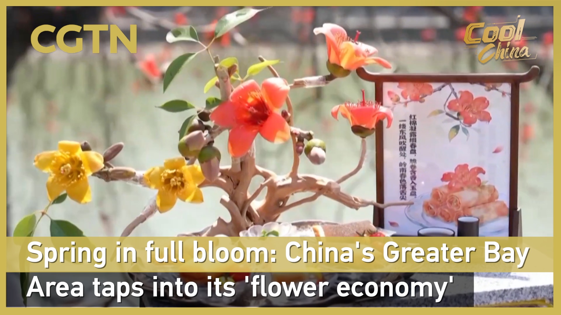 Spring in full bloom: China's Greater Bay Area taps into its 'flower economy'
