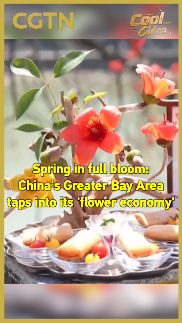 Spring in full bloom: China's Greater Bay Area taps into its 'flower economy'