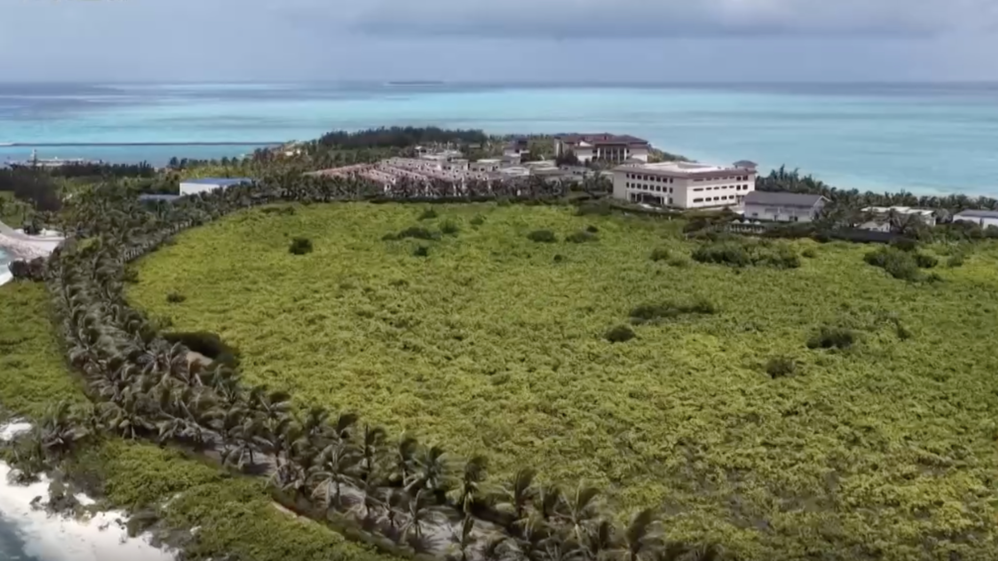 Tree-planting drive boosts island ecology in South China Sea