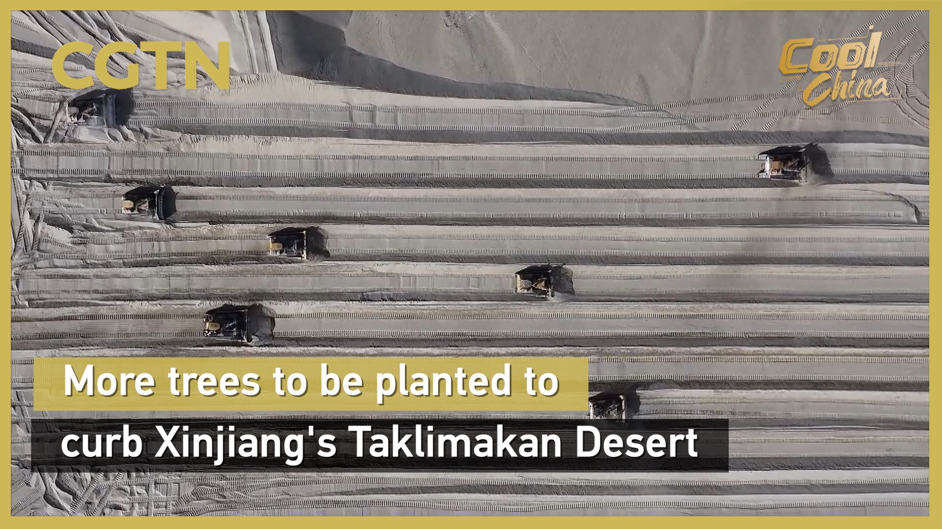 More trees to be planted to curb Xinjiang's Taklimakan Desert