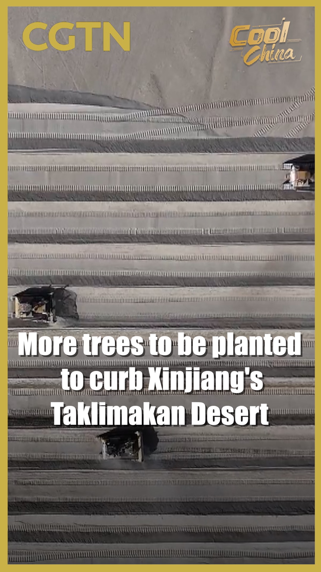 More trees to be planted to curb Xinjiang's Taklimakan Desert