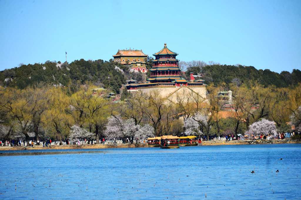 The Summer Palace is bursting with pink spring blooms in this picture taken on March 18. /VCG