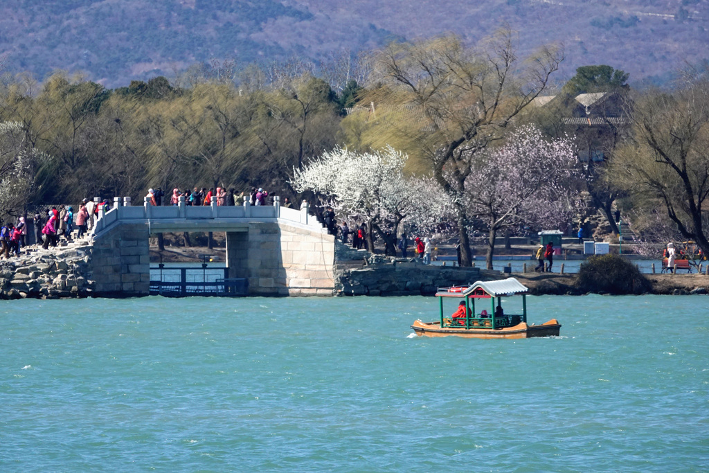 The Summer Palace is bursting with pink spring blooms in this picture taken on March 18. /VCG