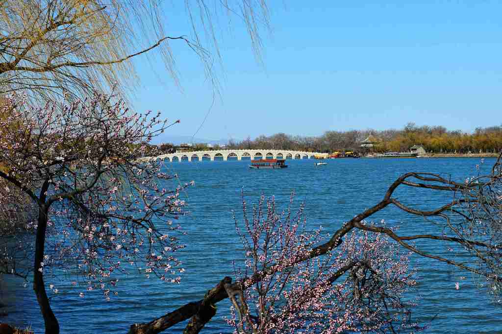 The Summer Palace is bursting with pink spring blooms in this picture taken on March 18. /VCG