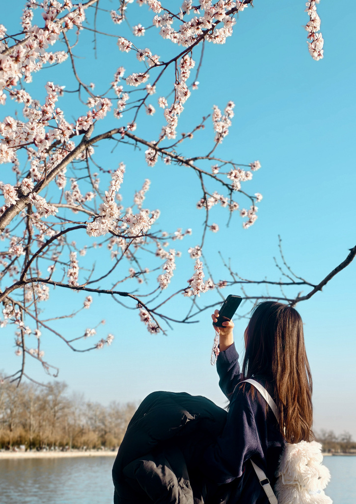 The Summer Palace is bursting with pink spring blooms in this picture taken on March 18. /VCG