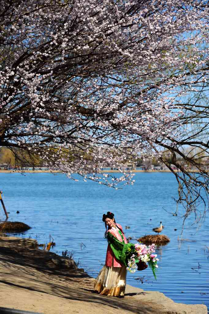 The Summer Palace is bursting with pink spring blooms in this picture taken on March 18. /VCG