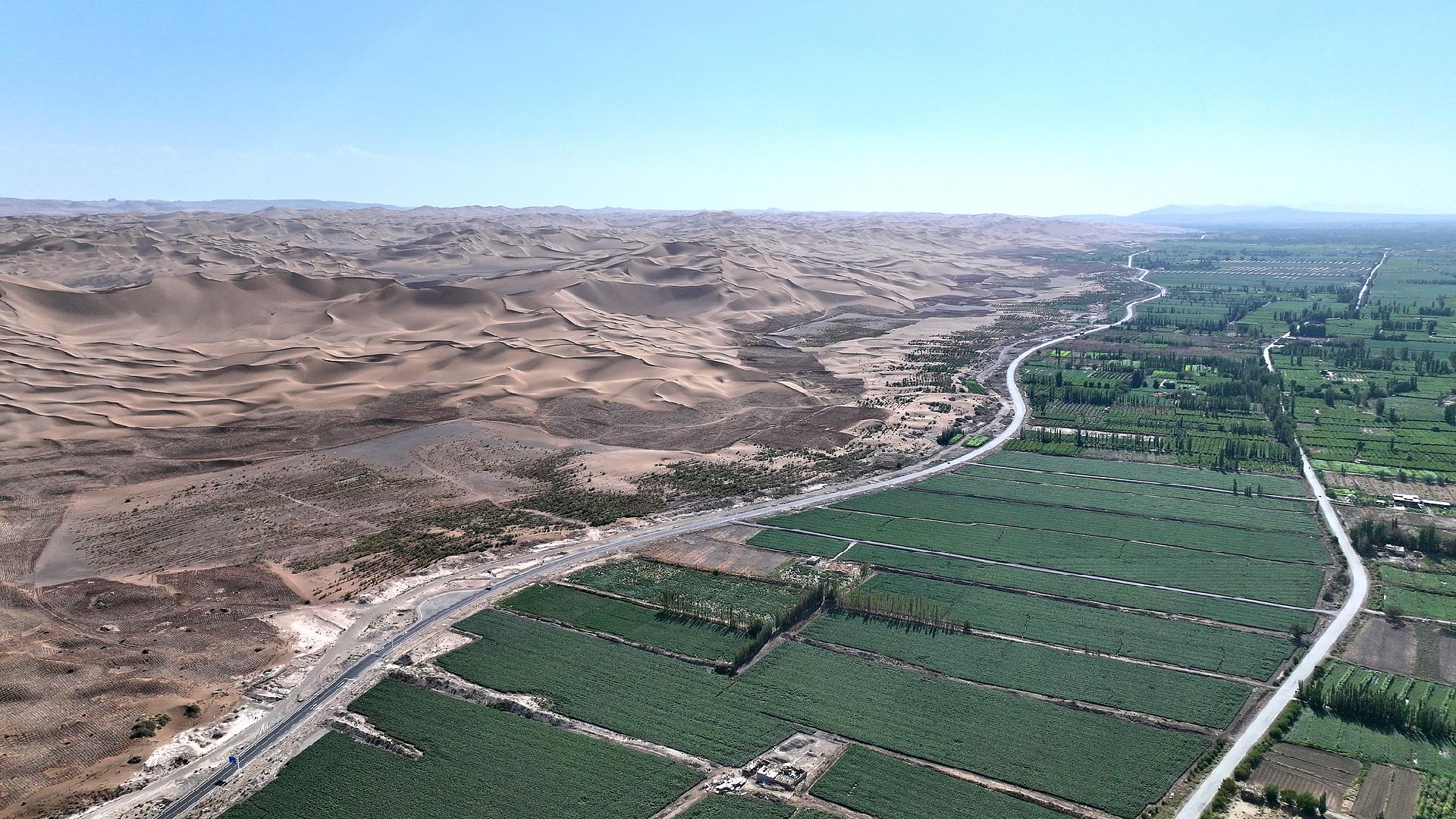 China sees sustained progress in land greening and forest growth