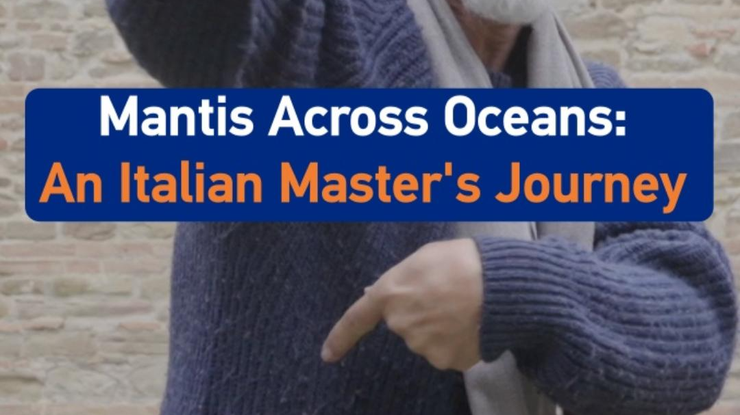 The praying mantis style: A 17th-century martial art that went global