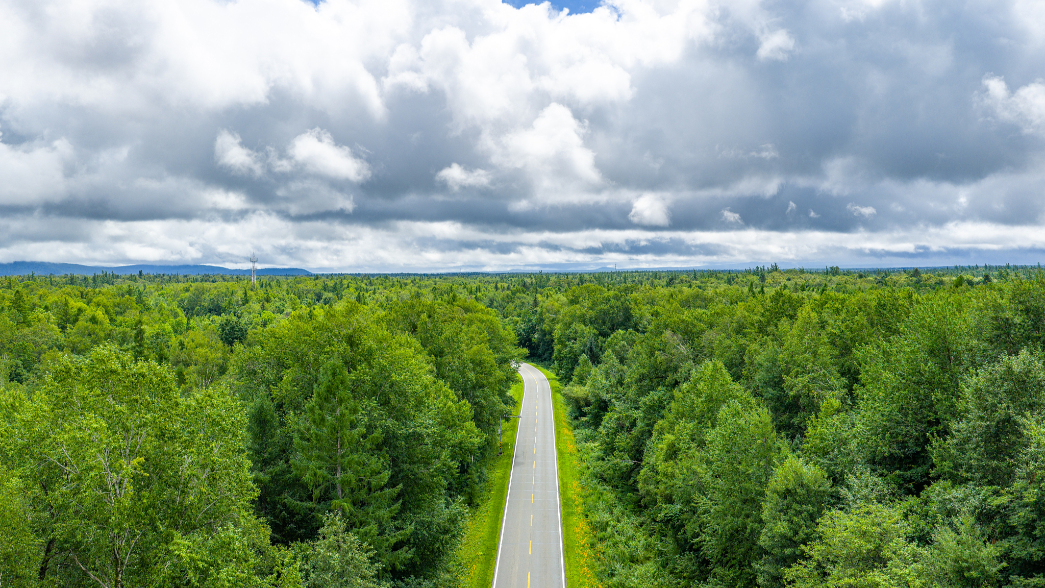 The G331 National Highway winds through the primeval forests of Changbai Mountain in Yanbian Korean Autonomous Prefecture, northeast China's Jilin Province, August 6, 2025. /VCG
