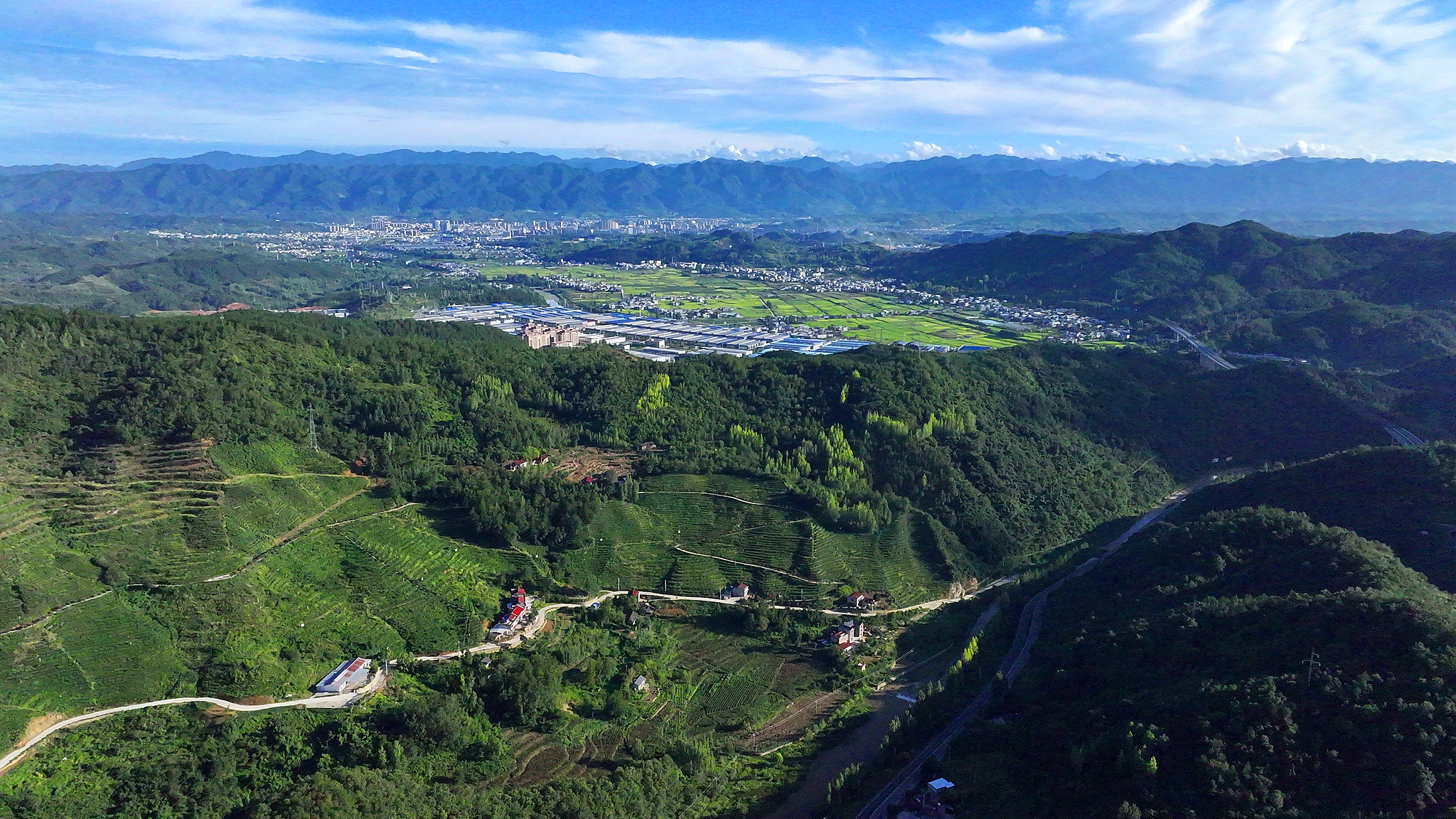 Under-forest industries have achieved large-scale operation in Fang County, central China's Hubei Province, August 31, 2025. /VCG