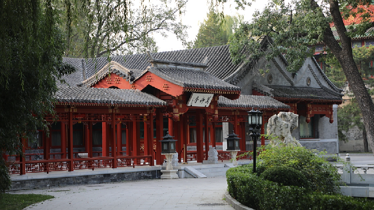 Chinese Vice Premier meets with executives of multinational firms