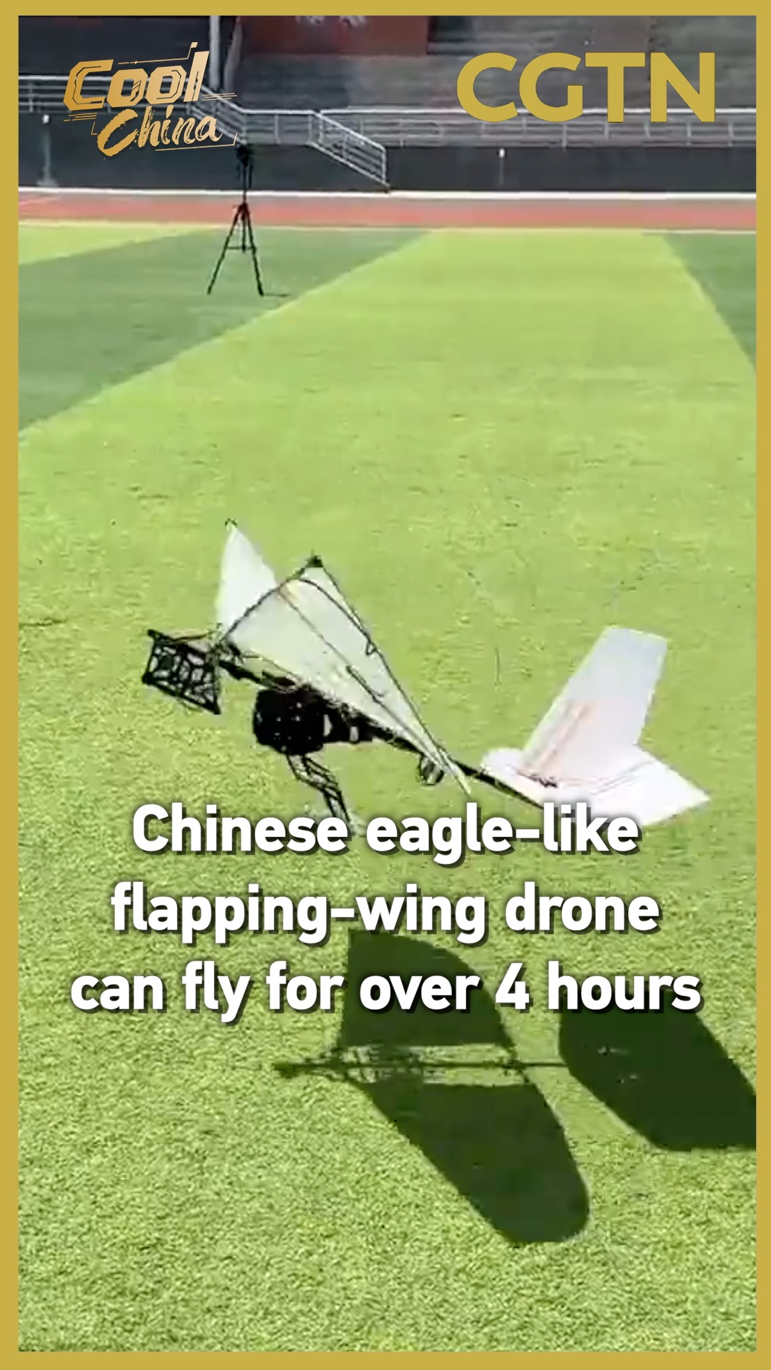 Chinese eagle-like flapping-wing drone can fly for over 4 hours