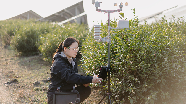 Live: Unveil the mysteries of meteorological observation