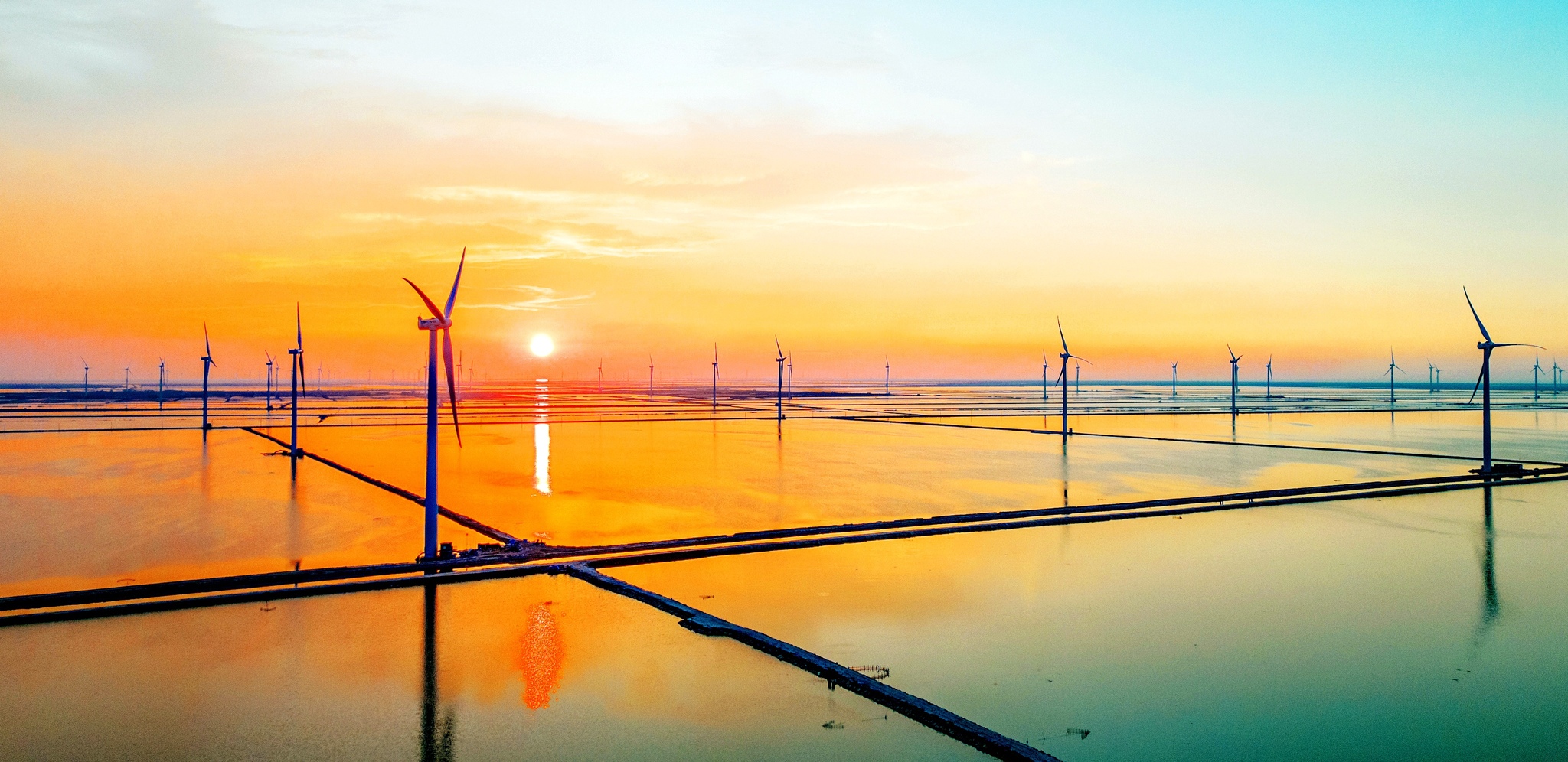  Wind turbines are seen on the coastal tidal flats in Dongying, Shandong Province, August 10, 2025. /VCG