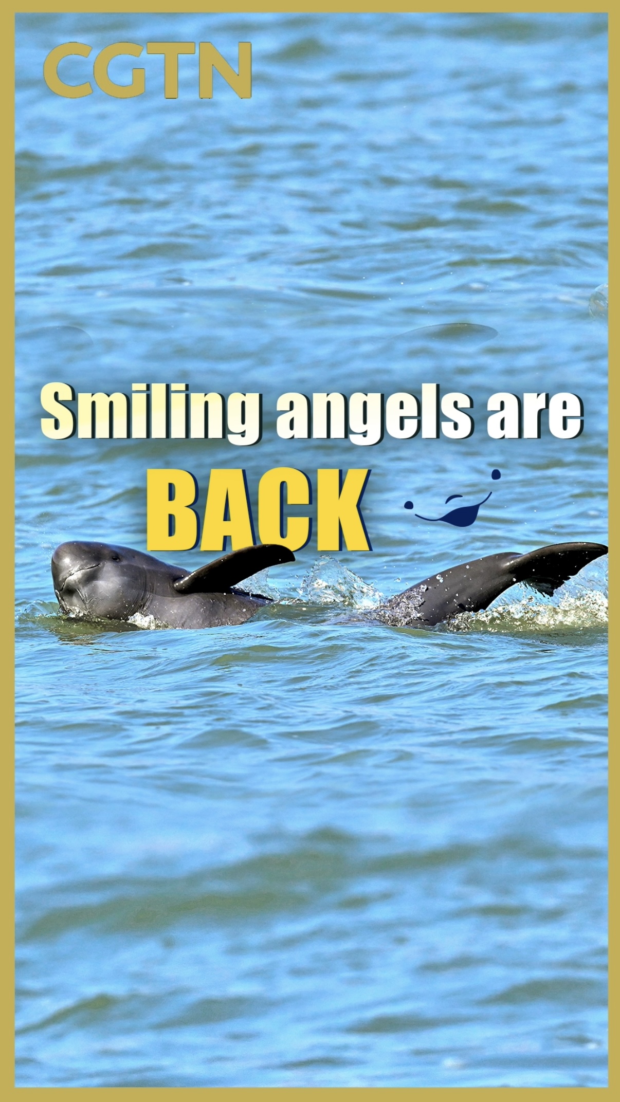 'Smiling angels' return to China's Yangtze River 