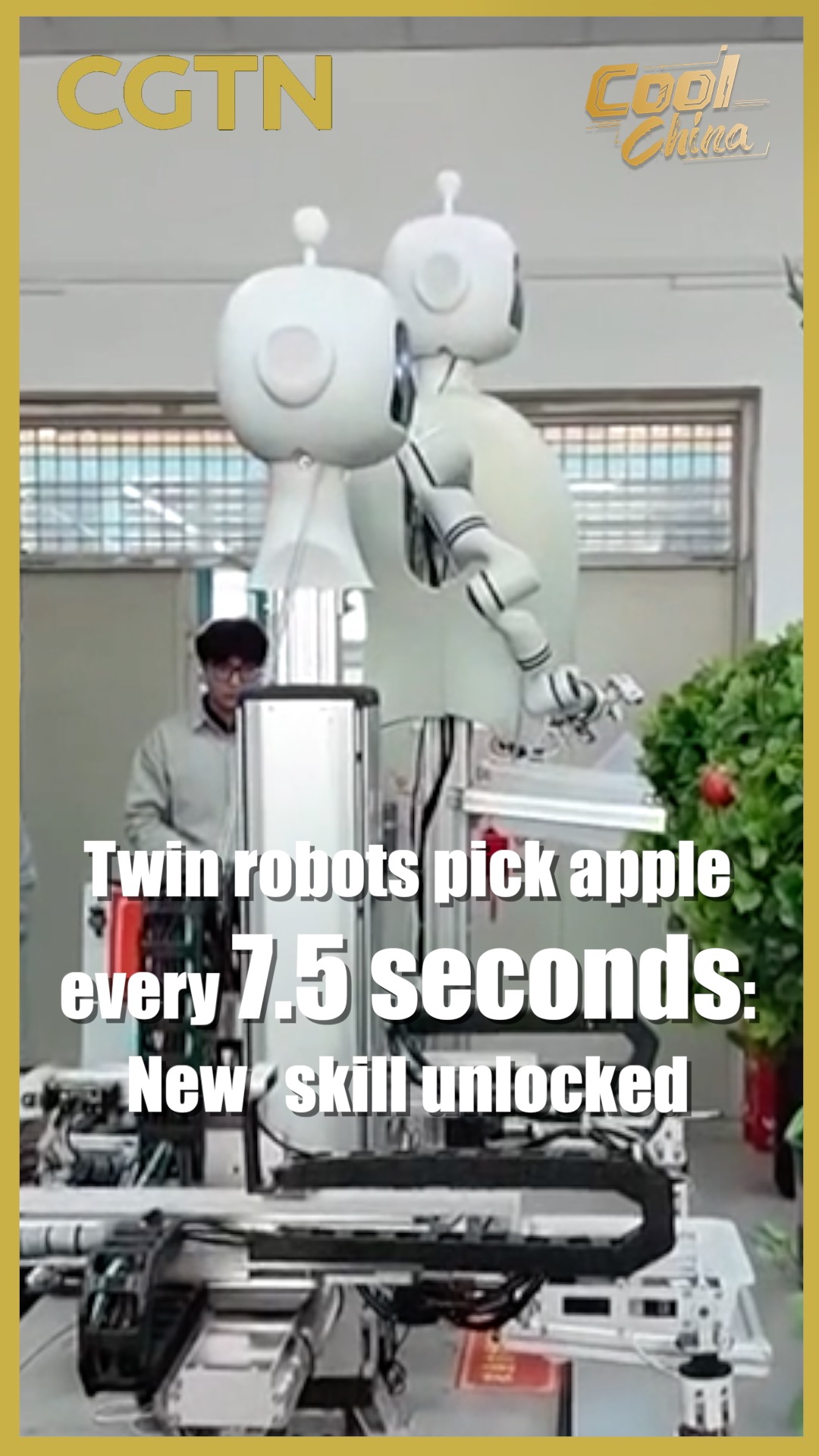 Twin robots pick apple every 7.5 seconds: New harvest skill unlocked
