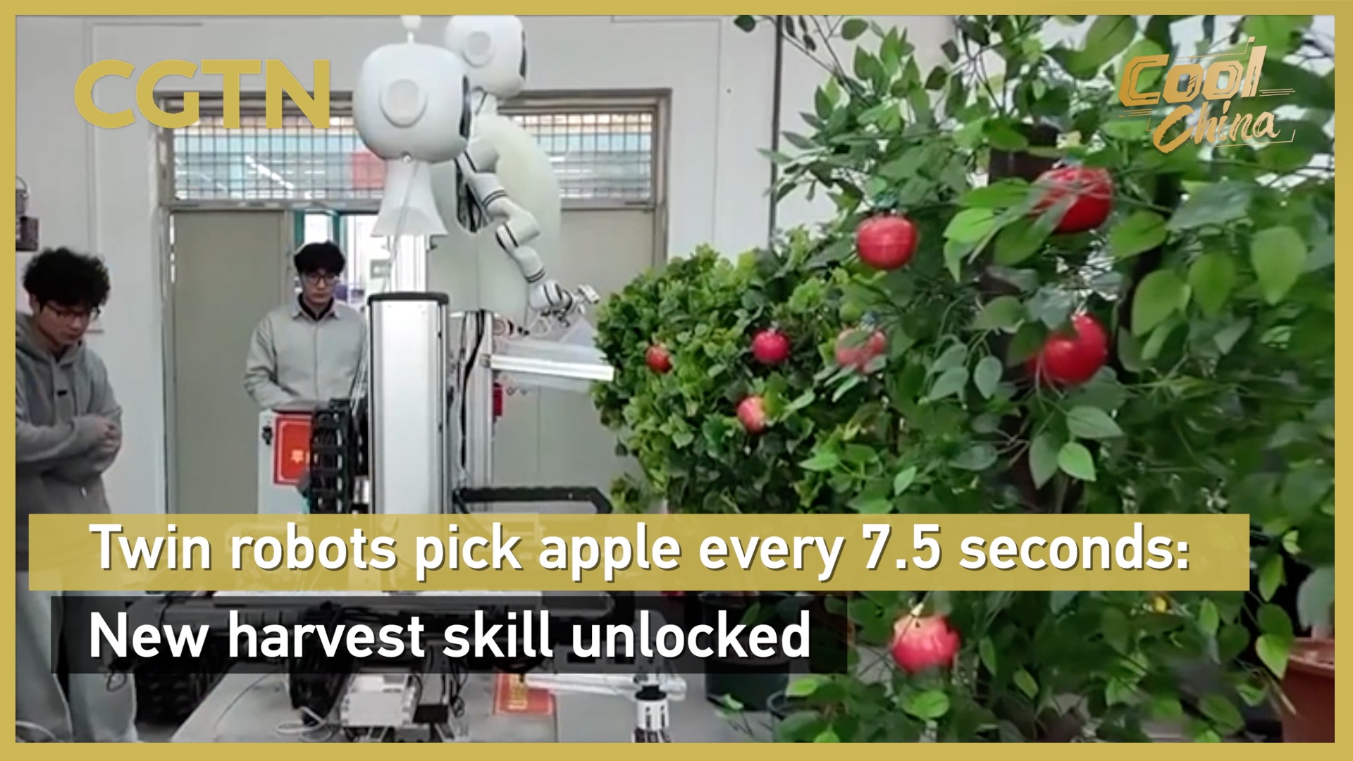 Twin robots pick apple every 7.5 seconds: New harvest skill unlocked