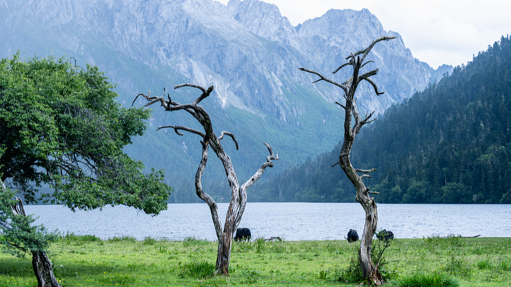 Wuxu Lake brings calm to a high-speed movie