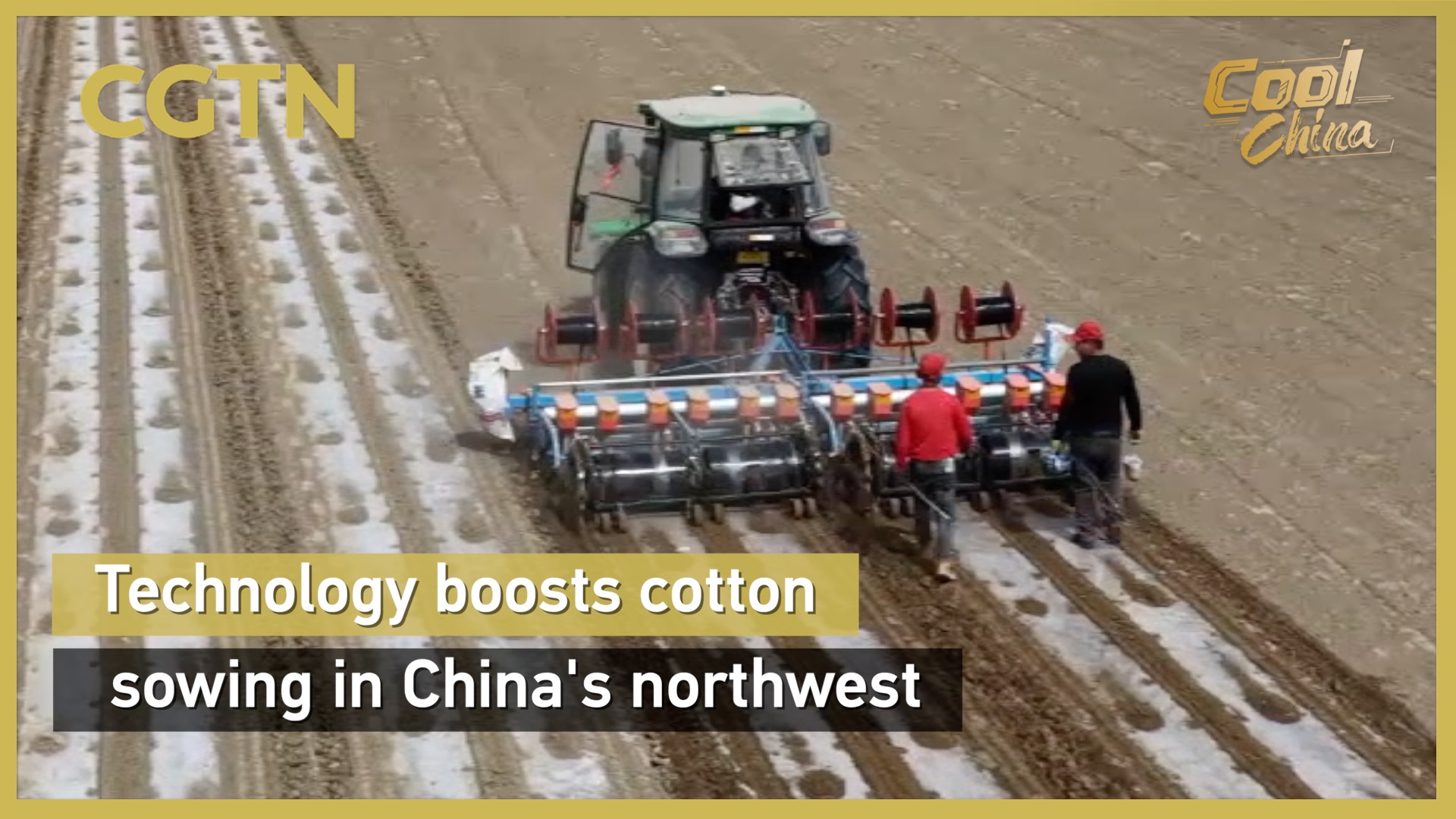Technology boosts cotton sowing in China's northwest