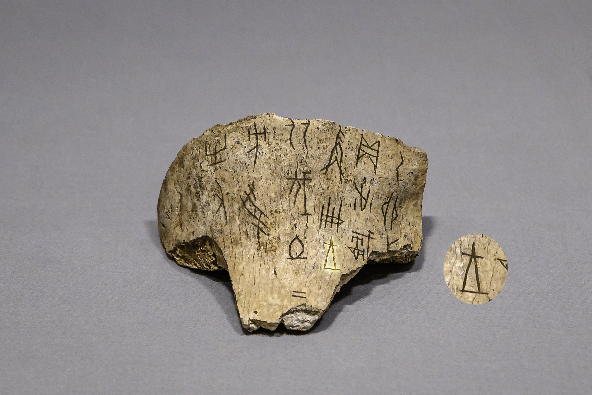 The ancient battle axe that shaped a dynasty